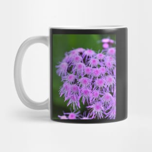 Droopy Pink Mug